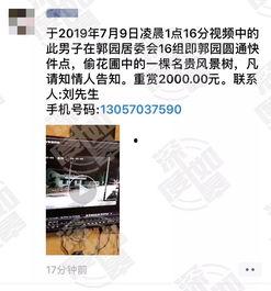 网友爆料类的视频,视频内容深度解析 第1张 网友爆料类的视频,视频内容深度解析 第1张